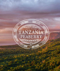 Tanzania Peaberry