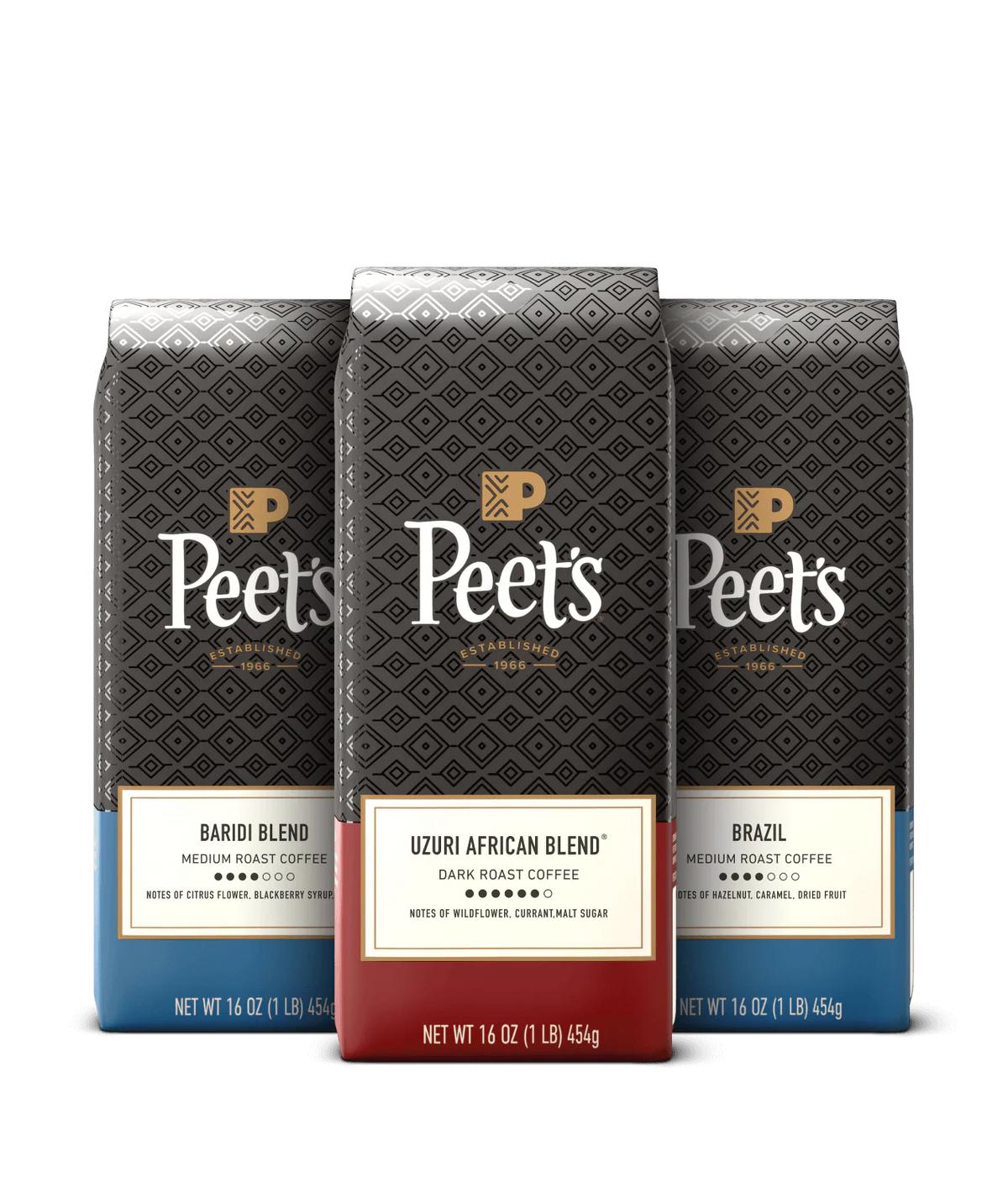 Cold Brew Bundle